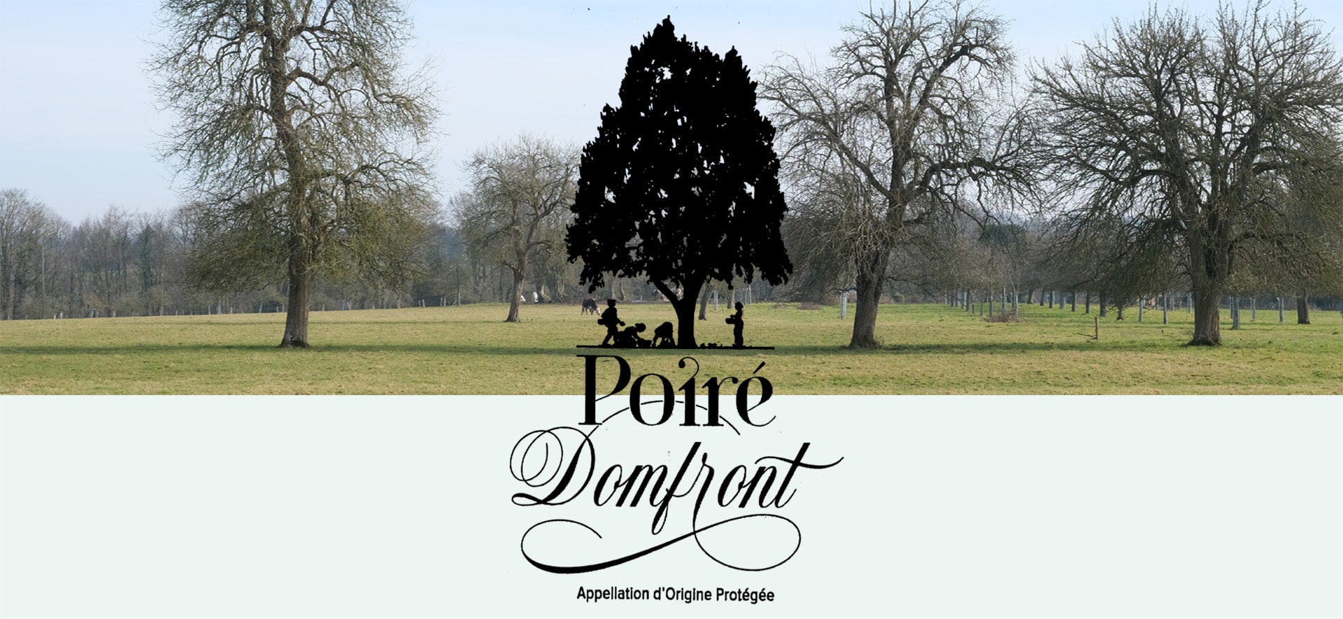 Poiré Domfront – Appellation